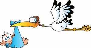 Stork baby - individualize message