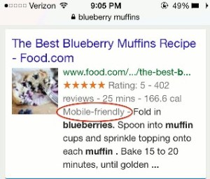Screenshot of Google search results showing mobile friendly tag on business listing